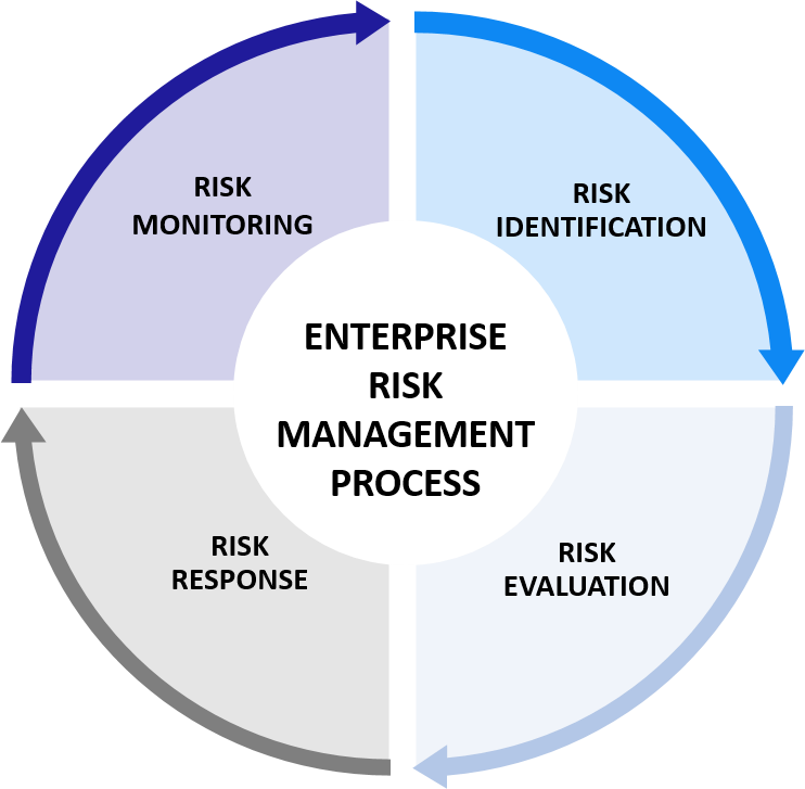 The Enterprise Risk Management Process Nexi